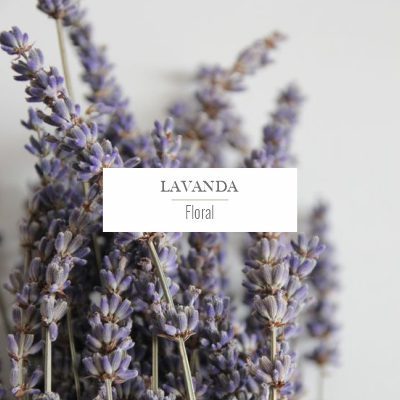 lavanda